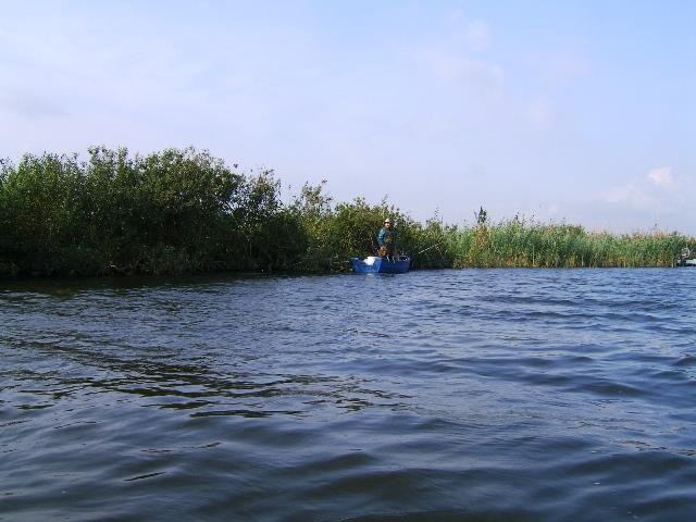 Doar ...  NATURA - rosu-2005-007.jpg